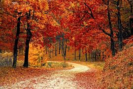 Openingstijden herfstvakantie